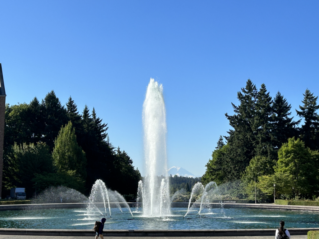 image-20230919234616-7